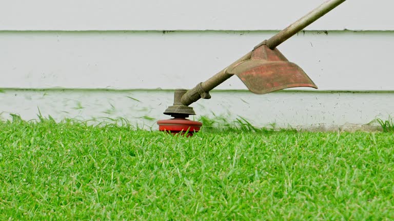 Dewitt, IA Tree Services Company